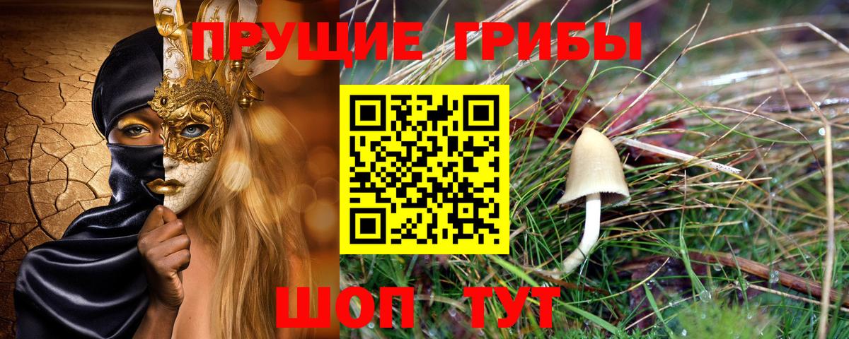Псилоцибиновые грибы Psilocybine cubensis Верхняя Пышма